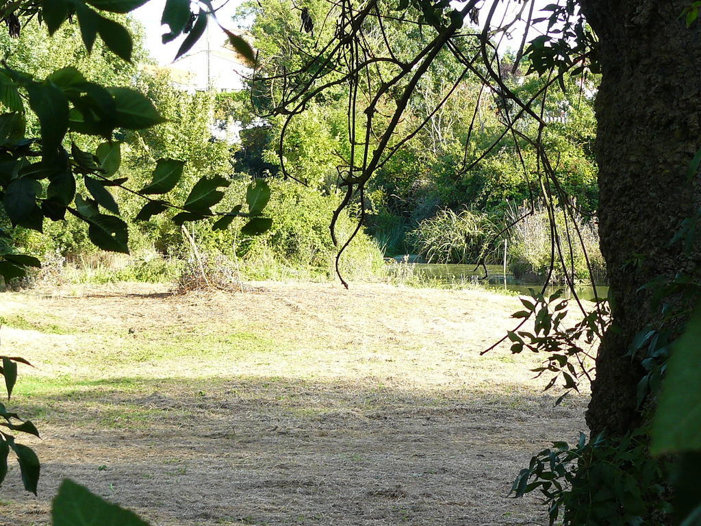 Les Plenitudes Du Rivage Saint-Vincent-sur-Jard Exterior foto